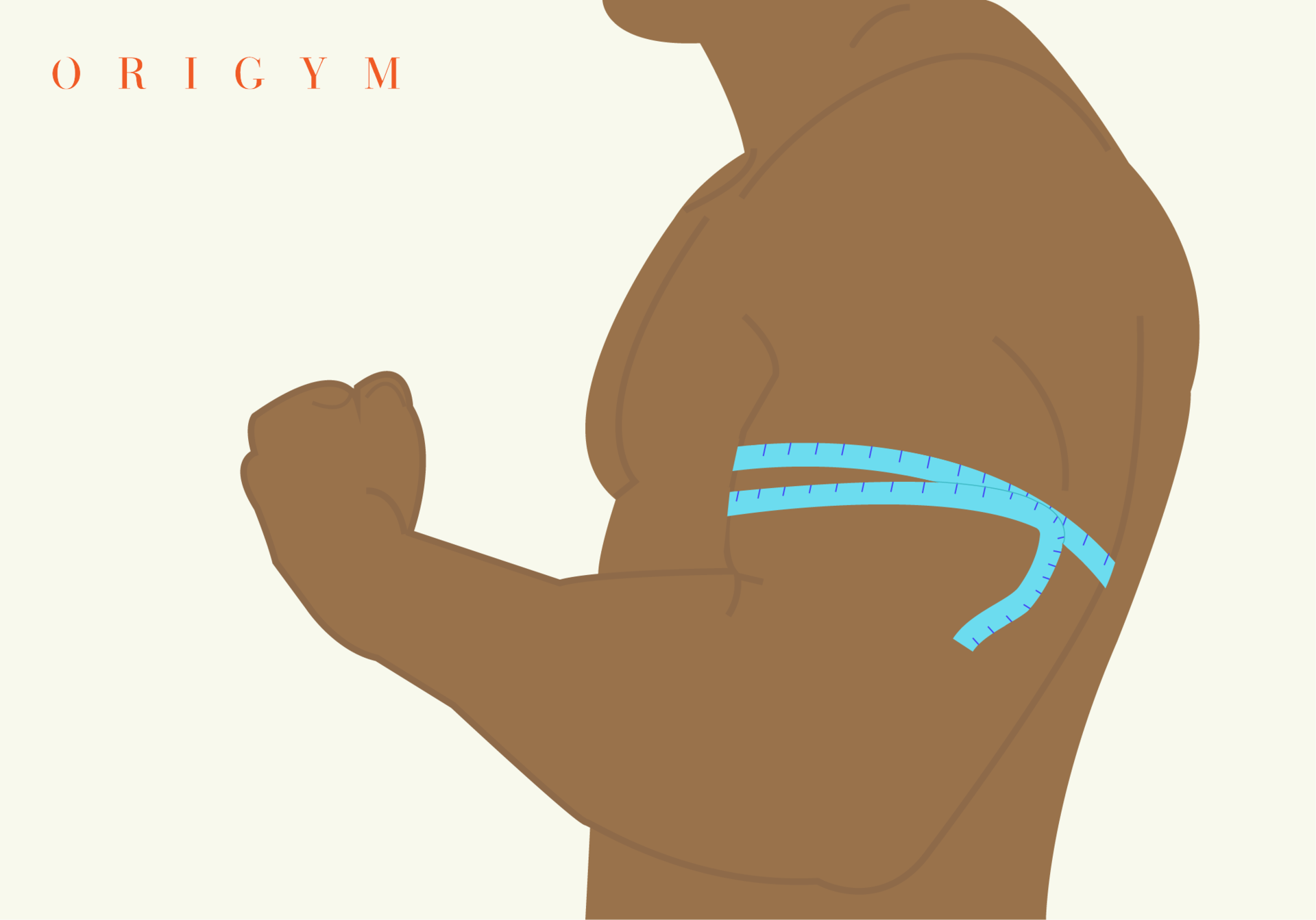Incline bench bicep curl graphic