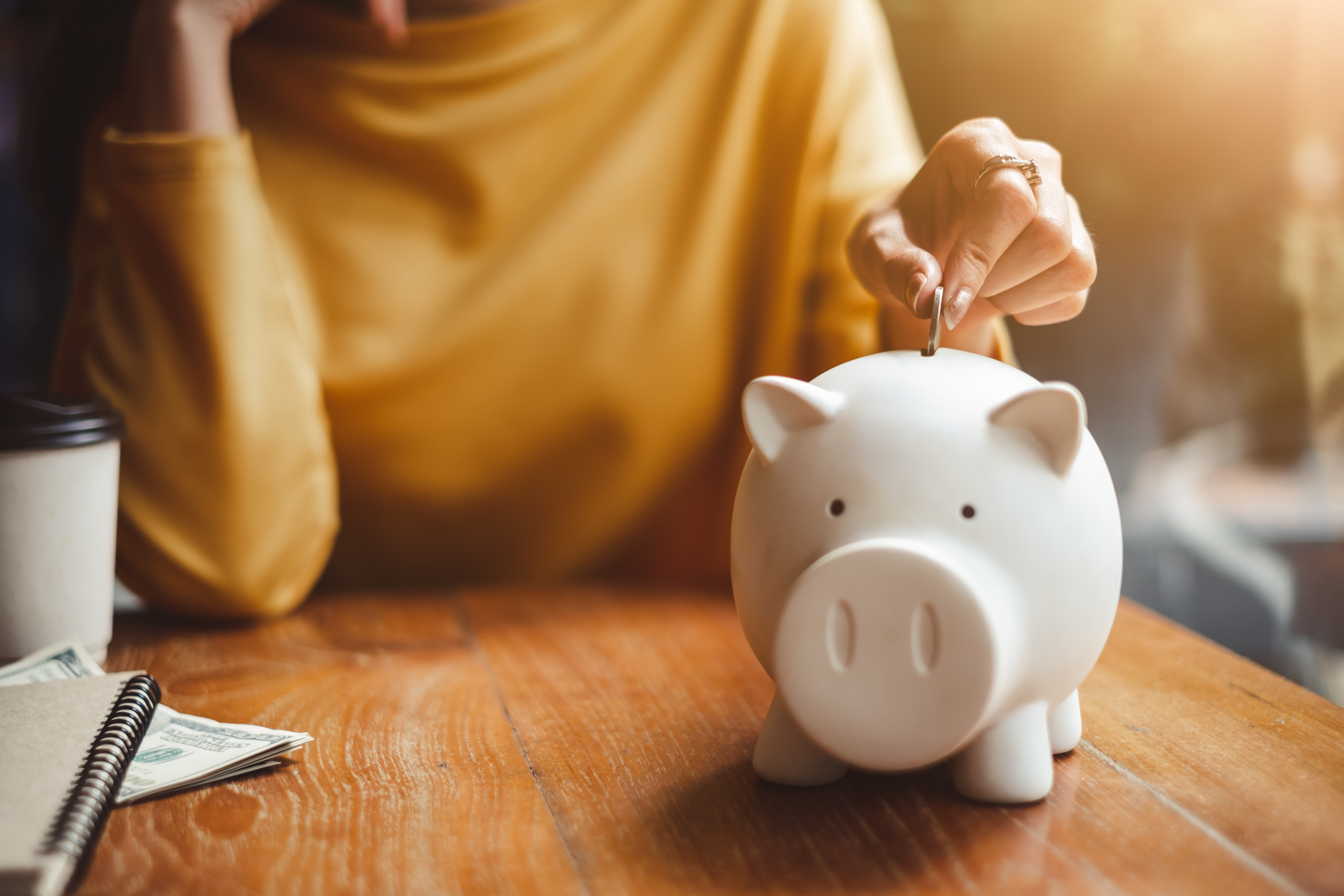 personal trainer goals revenue