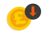 Coin Icon