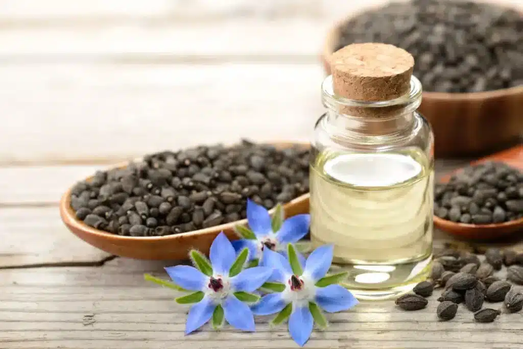 Image of a Bottle of Starflower Oil Surrounded by Seeds and Blue Flowers