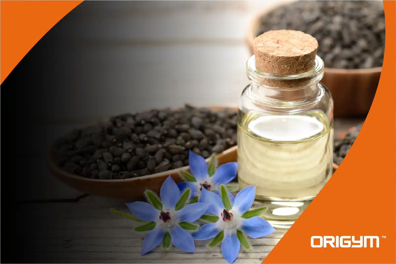 7 Benefits of Starflower Oil